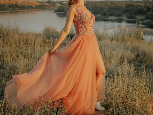 Velvet Evening Gown (1950s)